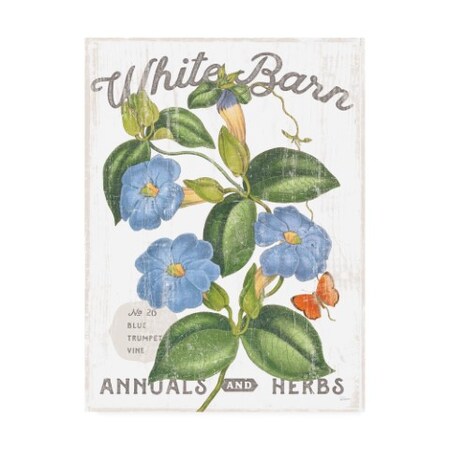 Trademark Fine Art Sue Schlabach 'White Barn Flowers II' Canvas Art, 24x32 WAP11746-C2432GG